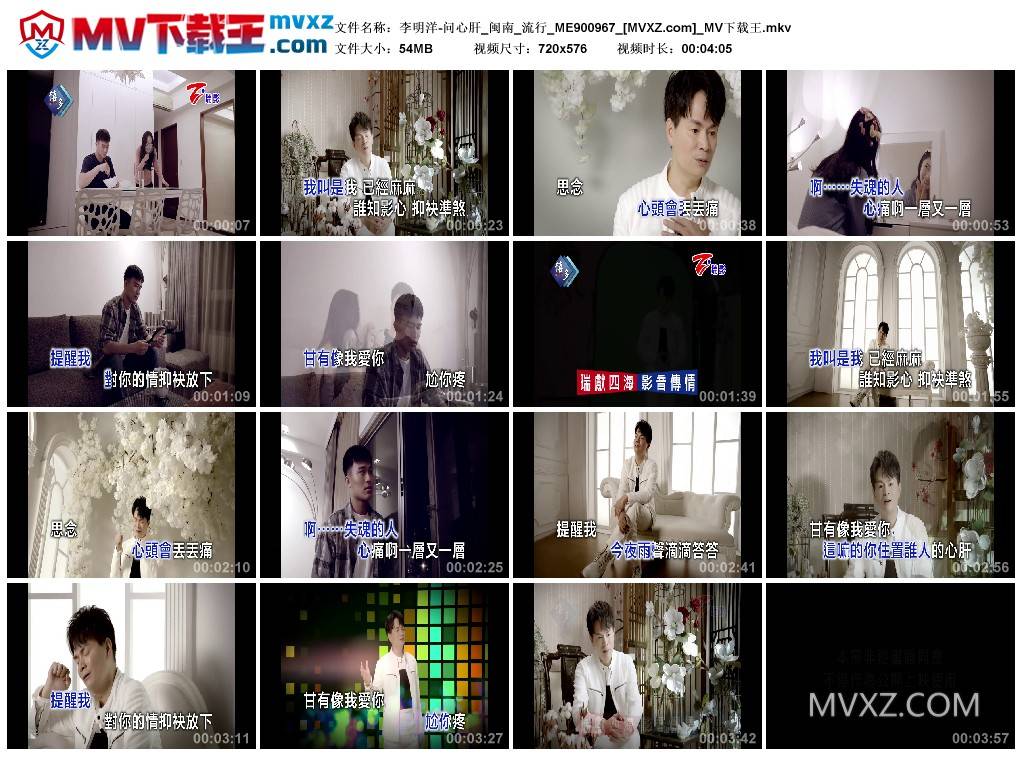 李明洋-问心肝_闽南_流行_ME900967